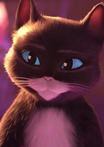 Kitty Softpaws