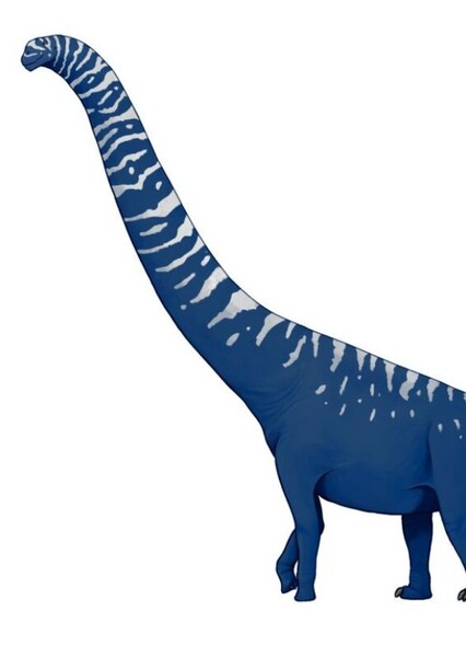 Klamelisaurus photo