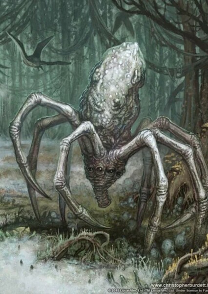 Knobby white spider photo