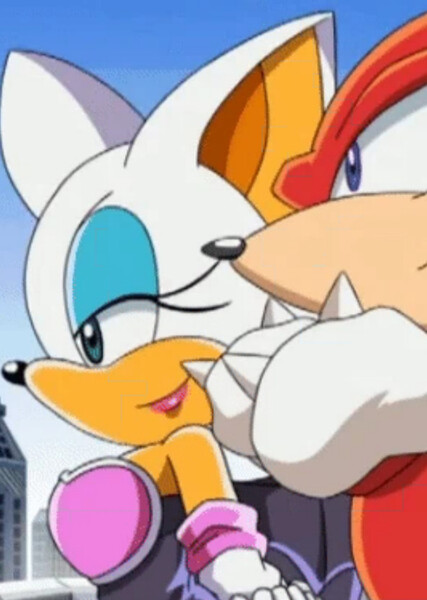 Knuckles and Rouge photo