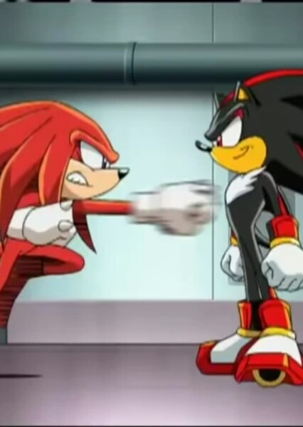 Knuckles and Shadow