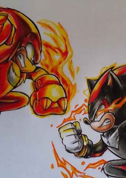 Knuckles and Shadow photo