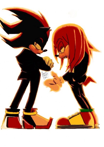 Knuckles and Shadow photo