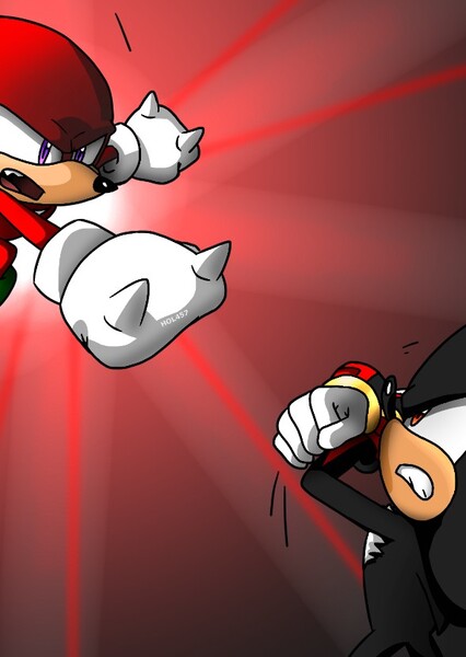 Knuckles and Shadow photo
