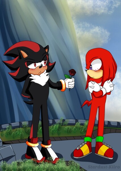 Knuckles and Shadow photo