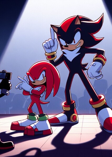 Knuckles and Shadow photo