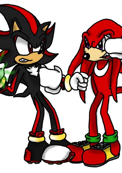 Knuckles and Shadow photo