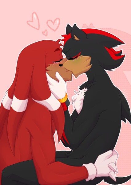 Knuckles and Shadow photo