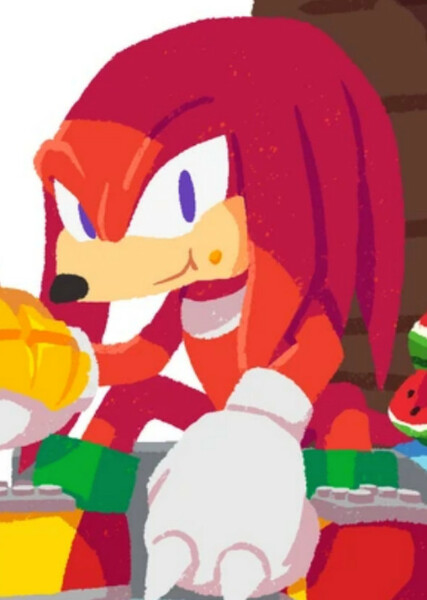 Knuckles the Echidna photo