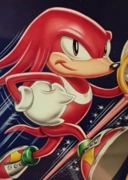 Knuckles the Echidna photo
