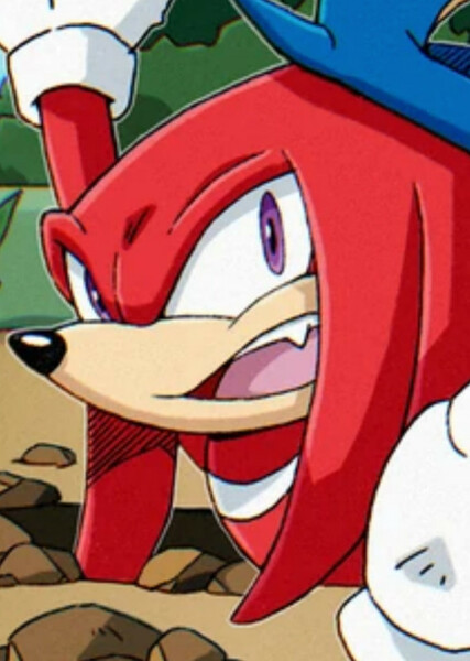 Knuckles the Echidna photo