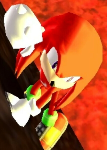 Knuckles the Echidna photo