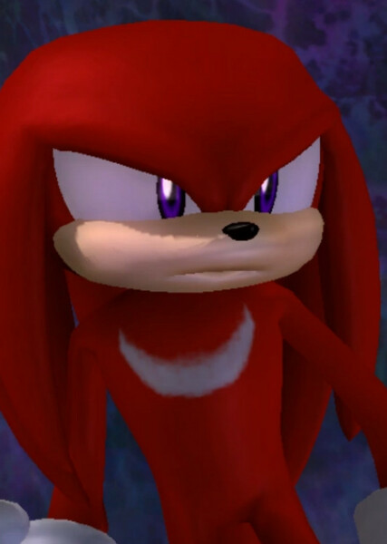 Knuckles the Echidna photo