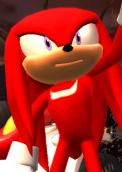 Knuckles the Echidna photo