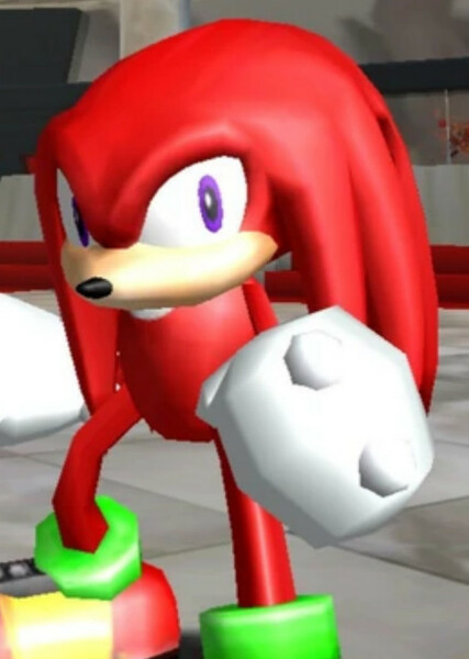 Knuckles the Echidna photo