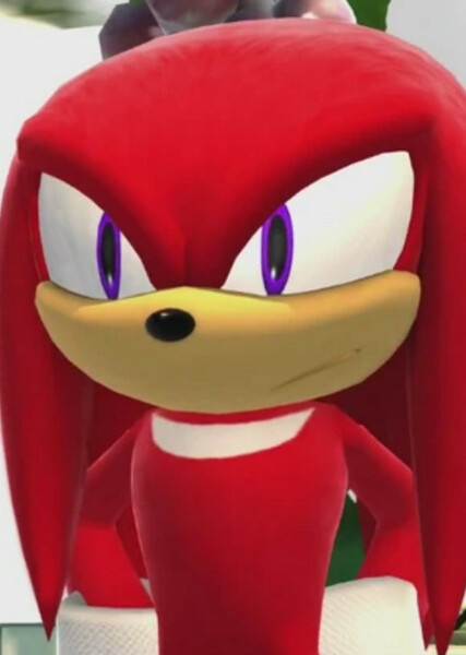 Knuckles the Echidna photo