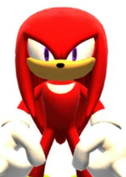 Knuckles the Echidna photo
