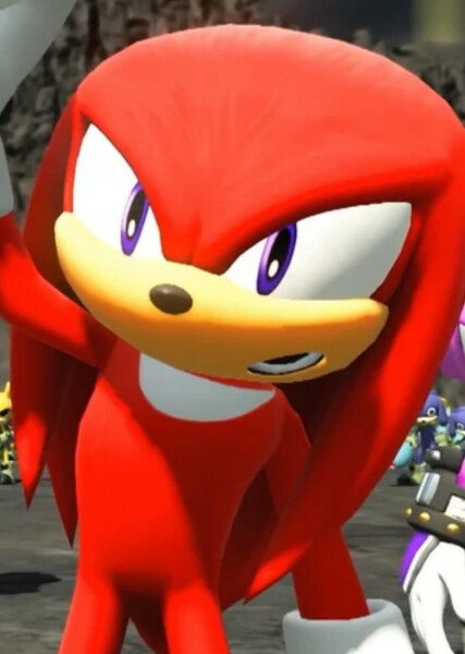 Knuckles the Echidna photo