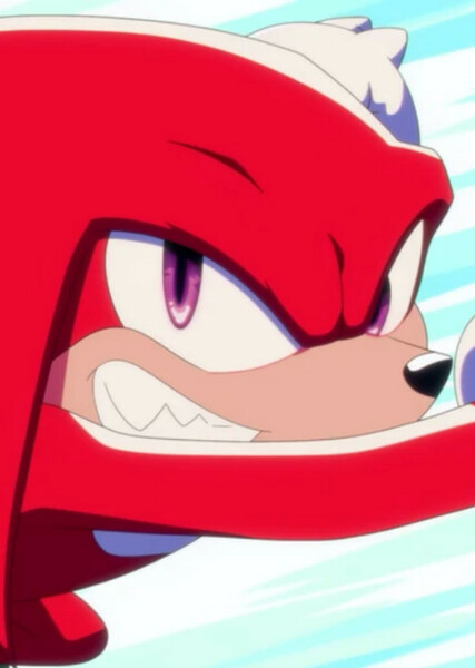 Knuckles the Echidna photo