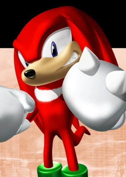 Knuckles the Echidna photo