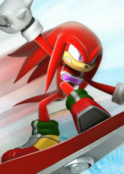 Knuckles the Echidna photo