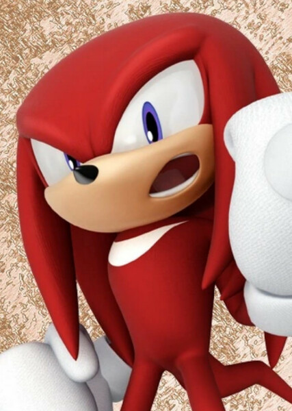 Knuckles the Echidna photo