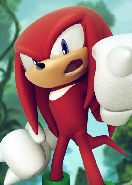 Knuckles the Echidna photo