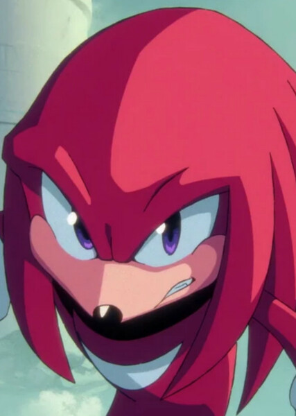 Knuckles the Echidna photo