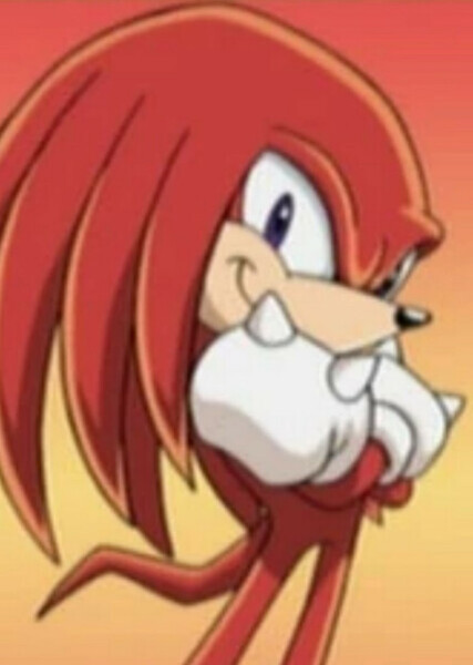 Knuckles the Echidna photo
