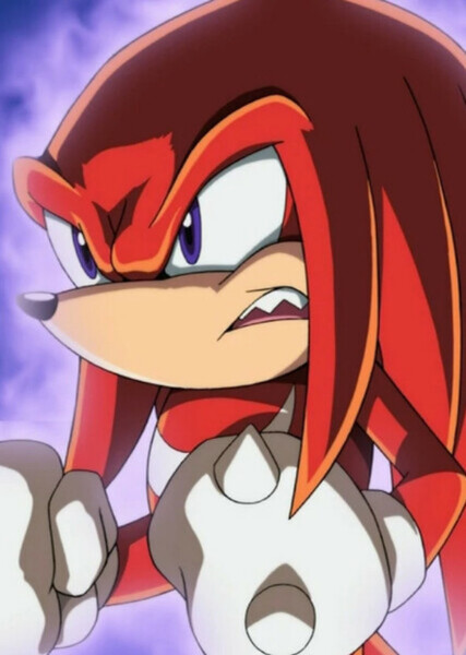 Knuckles the Echidna photo