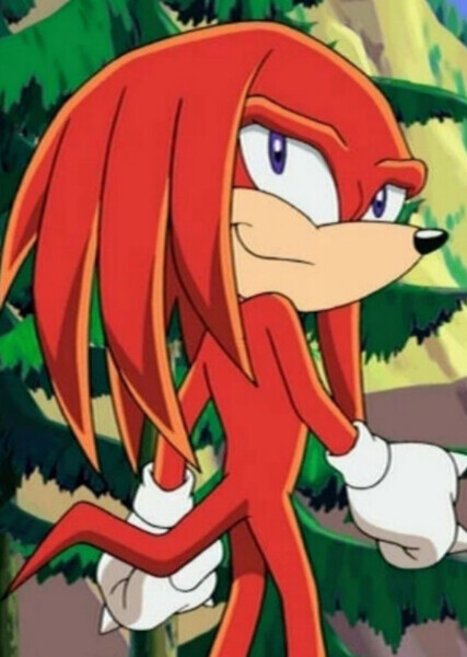 Knuckles the Echidna photo