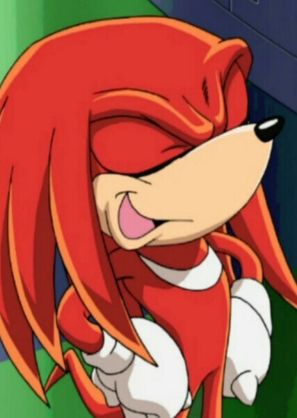 Knuckles the Echidna photo