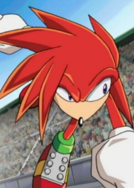 Knuckles the Echidna photo