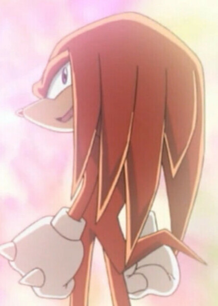 Knuckles the Echidna photo