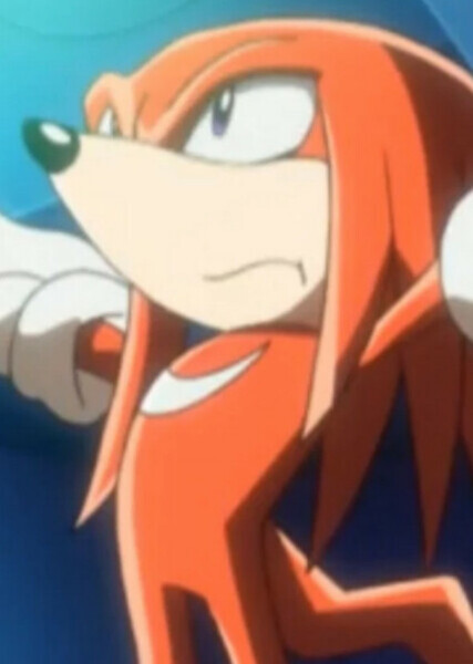 Knuckles the Echidna photo