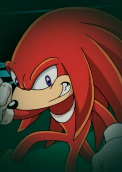 Knuckles the Echidna photo