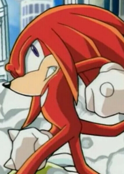 Knuckles the Echidna photo