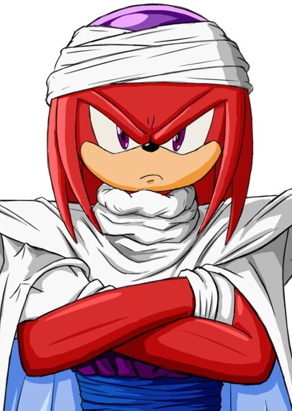Knuckles the Echidna photo