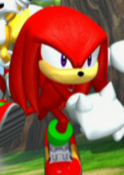Knuckles the Echidna photo