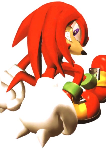 Knuckles the Echidna photo