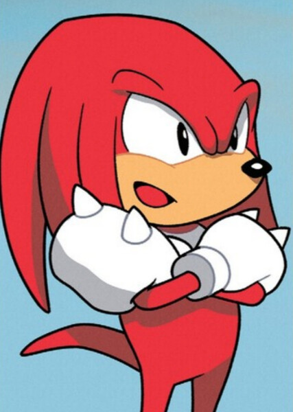 Knuckles The Echidna (Classic) photo