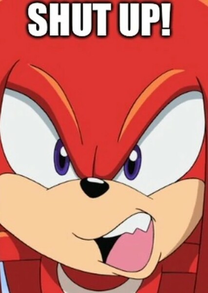 Knuckles the Echidna (Sonic X) photo