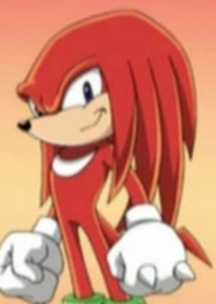 Knuckles the Echidna (Sonic X) photo