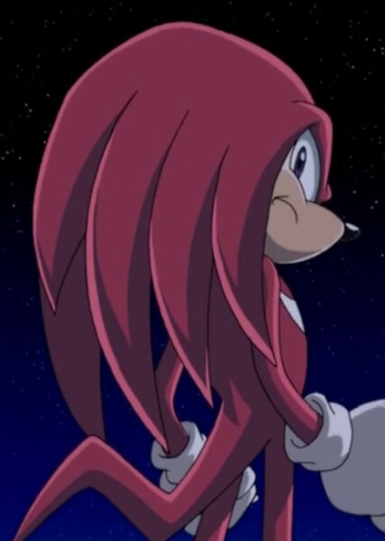 Knuckles the Echidna (Sonic X) photo