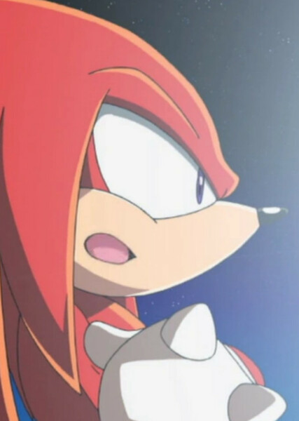Knuckles the Echidna (Sonic X) photo