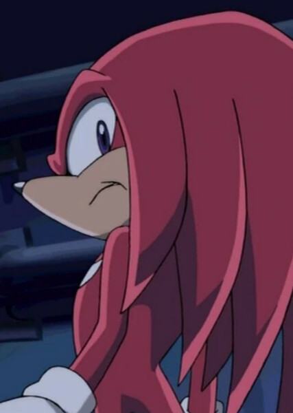 Knuckles the Echidna (Sonic X) photo