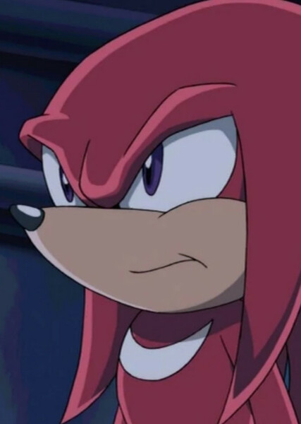 Knuckles the Echidna (Sonic X) photo