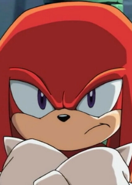 Knuckles the Echidna (Sonic X) photo