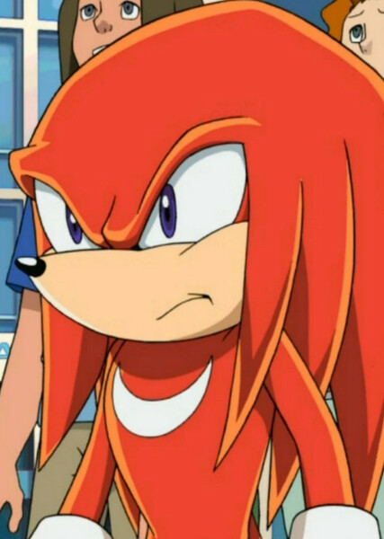 Knuckles the Echidna (Sonic X) photo