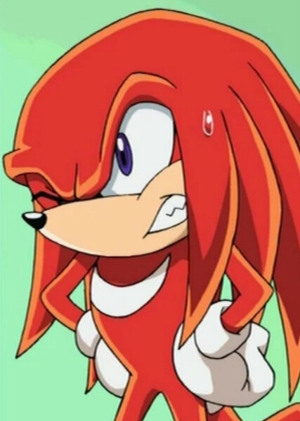 Knuckles the Echidna (Sonic X) photo